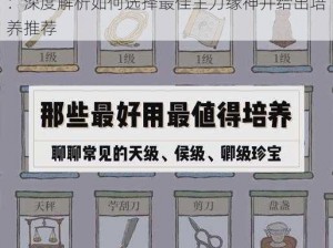 轮回诀：缘分选择策略与主力缘神培养指南：深度解析如何选择最佳主力缘神并给出培养推荐