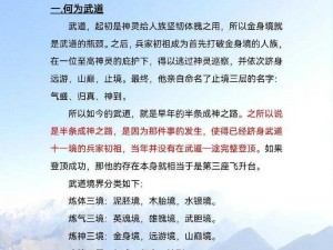 武道修行者的巅峰等级划分之道解析