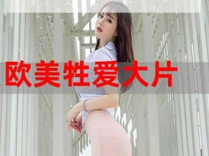 欧美Z00Z交(为什么欧美 Z00Z 交如此受欢迎？)