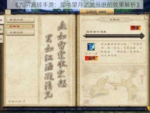 《九阴真经手游：犀牛望月之武当进阶效果解析》