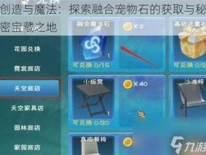 创造与魔法：探索融合宠物石的获取与秘密宝藏之地