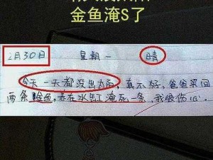 沙雕日记：巧妙改造助力大嫂实现房产价值飙升的攻略指南