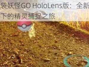 口袋妖怪GO HoloLens版：全新视角下的精灵捕捉之旅