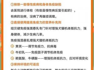 七国宠物培育伤害提升策略详解：实用技巧与指南助你提高宠物战斗力