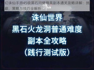 梦幻诛仙手游45级黑石问情精英副本通关攻略详解：挑战之巅，策略与技巧全解析