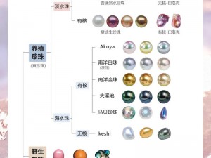 动物森友会珍珠获取攻略：揭秘珍珠获取方法与技巧全解析