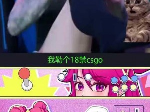 俄罗斯卖csgo的网站免费进入、俄罗斯卖 csgo 的网站免费进入？真假难辨