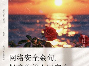 palipali 检测一整晚，守护你的网络安全