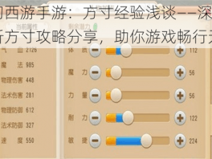 梦幻西游手游：方寸经验浅谈——深度解析方寸攻略分享，助你游戏畅行无阻
