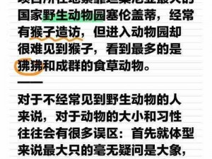 沙雕日记投胎非洲探险之旅：图文攻略全解析