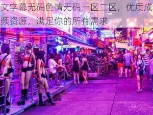 中文字幕无码色情无码一区二区，优质成人视频资源，满足你的所有需求