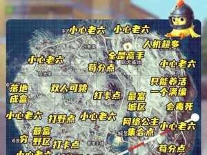 和平精英雪地地图玩法攻略：战略指南与技巧揭秘