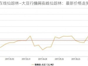 大豆行情网在线仙踪林—大豆行情网在线仙踪林：最新价格走势分析及预测