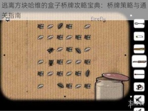 逃离方块哈维的盒子桥牌攻略宝典：桥牌策略与通关指南