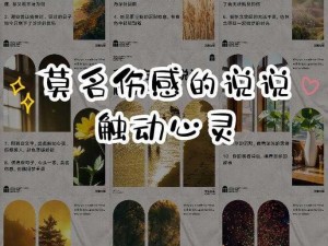 算了，那首歌轻轻飘散的旋律藏着无言的哀伤