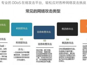 专业的 DDoS 在线攻击平台，轻松应对各种网络攻击挑战