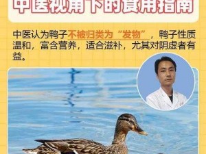 关于长手鸭子安装与配置的详细指南