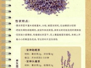 薰衣草实验室研究所;薰衣草实验室研究所，探索神秘的香草世界