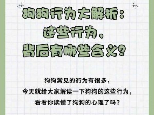 轻度自调任务 60 条狗，助你高效管理狗狗行为