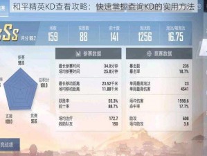 和平精英KD查看攻略：快速掌握查询KD的实用方法