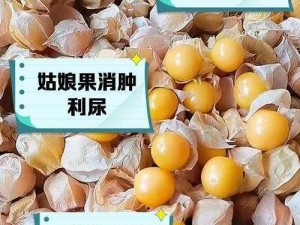 南亚姑娘蜜饯系列—南亚姑娘蜜饯系列：水果与甜蜜的完美结合