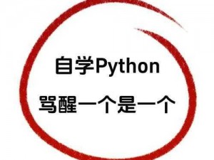 挑战 CSDN，PYTHON 人马大战一触即发