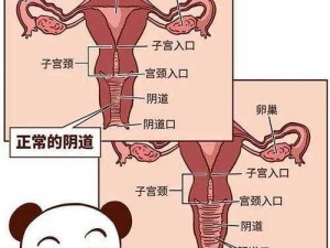 女性张开双腿露出私密部位【女性私密部位被暴露在公众视野下，是对女性的不尊重】