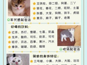 谁可以给我新版猫咪的地址-谁可以告诉我新版猫咪的地址