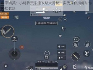 和平精英：小鸡物资车速攻略大揭秘：实战操作指南助你轻松吃鸡