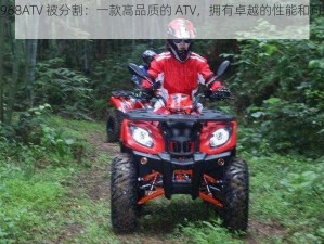 花儿 6968ATV 被分割：一款高品质的 ATV，拥有卓越的性能和可靠的质量