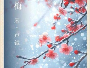 永远的七日之都雪映寒梅新活动——寒冬腊月的冬日狂欢