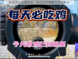 绝地求生刺激战场：鸡的生存策略与作用解析