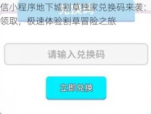 微信小程序地下城割草独家兑换码来袭：限量领取，极速体验割草冒险之旅