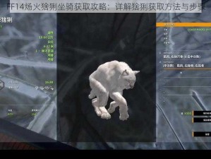 FF14炀火猞猁坐骑获取攻略：详解猞猁获取方法与步骤