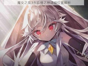 魔女之泉3赤狐狸之林详细位置解析