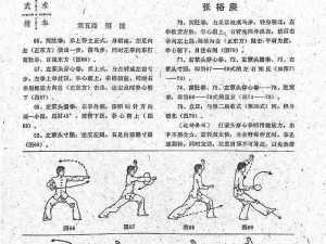 阿福招式大全：揭秘95个实战技巧，全方位解析动作要领