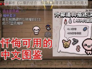 全面解析《以撒的结合：忏悔》新增道具功能与作用大全