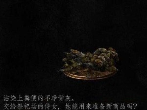 黑暗之魂3圣骑士骨灰获取攻略：骨灰获取方法与实用指南