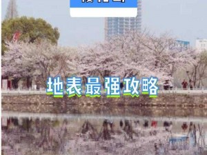 樱花岛高清视频www_如何获取樱花岛高清视频？