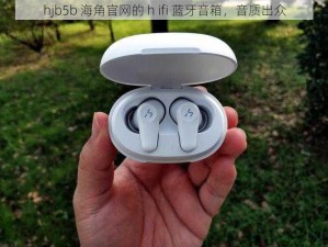 hjb5b 海角官网的 h ifi 蓝牙音箱，音质出众