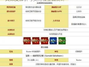 命运冠位指定FGO：库丘林Alter技能宝具深度解析与实用性全面测评