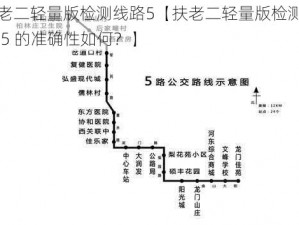 扶老二轻量版检测线路5【扶老二轻量版检测线路 5 的准确性如何？】