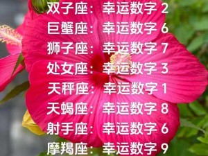 幸运数字9是否对防御具有正面影响分析探讨