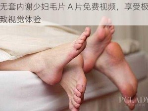 无套内谢少妇毛片 A 片免费视频，享受极致视觉体验