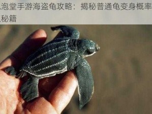 泡泡堂手游海盗龟攻略：揭秘普通龟变身概率获取秘籍