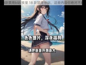 夜里18款禁用b站(夜里 18 款禁用 b 站，这些内容你绝对不能错过)