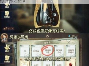 《迷城物语：抢先揭秘游戏特色视频，探寻神秘世界之旅》