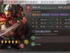 三国志战略版孙策角色深度解析：游戏实战能力与玩法探讨