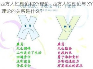 西方人性理论和XY理论—西方人性理论与 XY 理论的关系是什么？