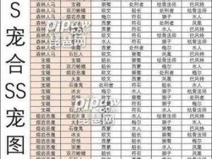 疯狂骑士团宠物实力大解密：顶级宠物排行及强势宠物解析